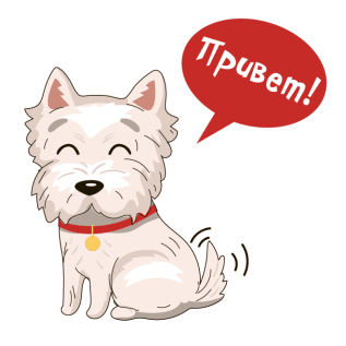 Та самая болонка