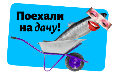 Наша дача!